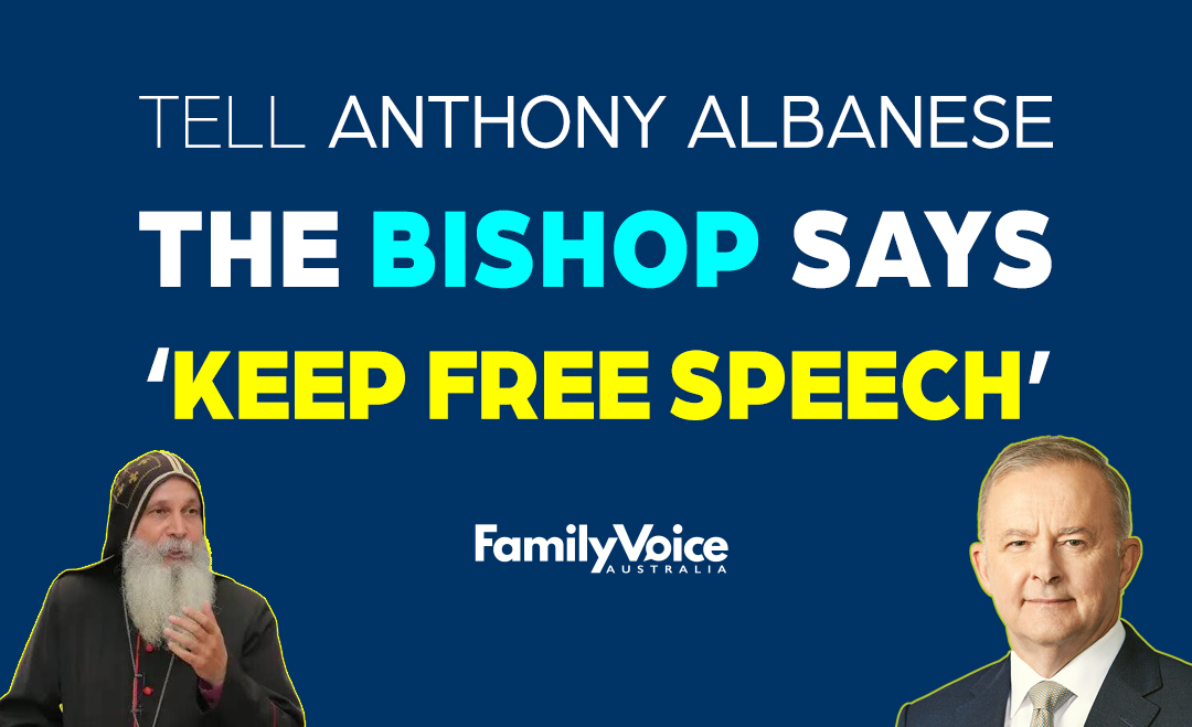 Tell Albo Bishop 1080px
