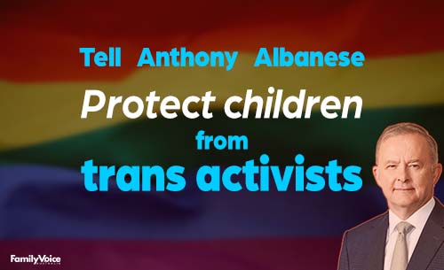 Trans activists Mr Albanese 500px for website