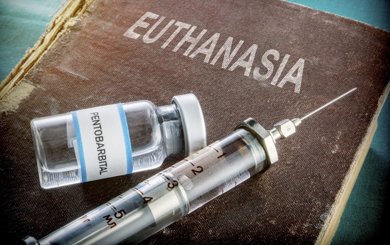euthanasia 800 002