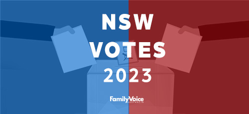 Victoria Election Vic Votes 2022 email 002