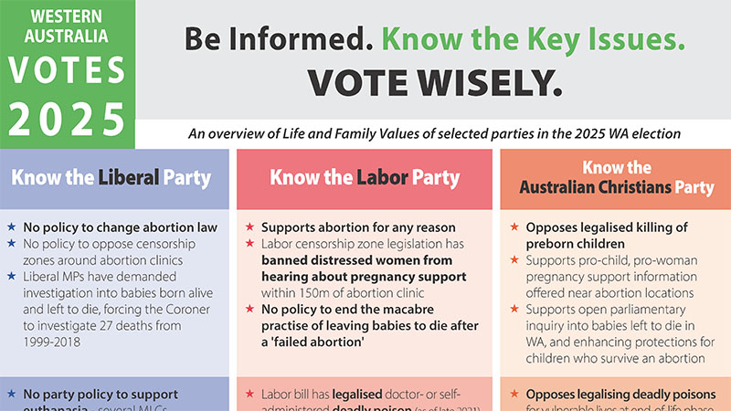 WA Election Vote Wisely image for links 800px