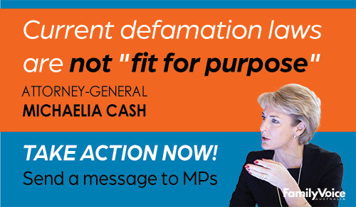 Michaelia Cash defamation quote