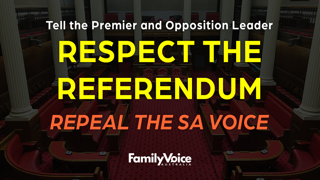 SA Voice 1080px Respect the Referendum repeal the SA Voice