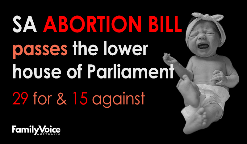 SA abortion bill passes LH
