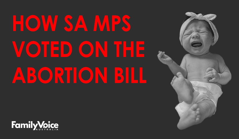 SA abortion how MPs voted 002