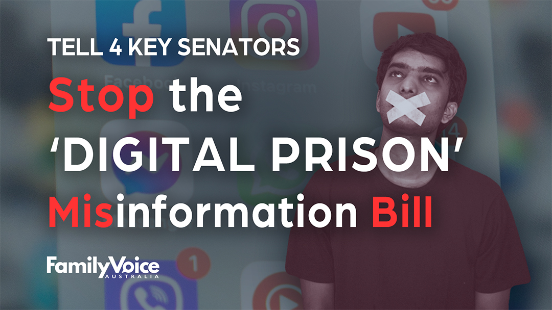 Tell Senators Misinformation Bill 1080px