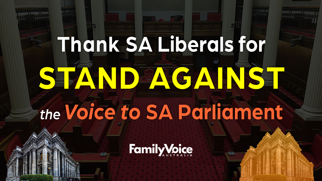 Thanks SA Libs Voice 1080px