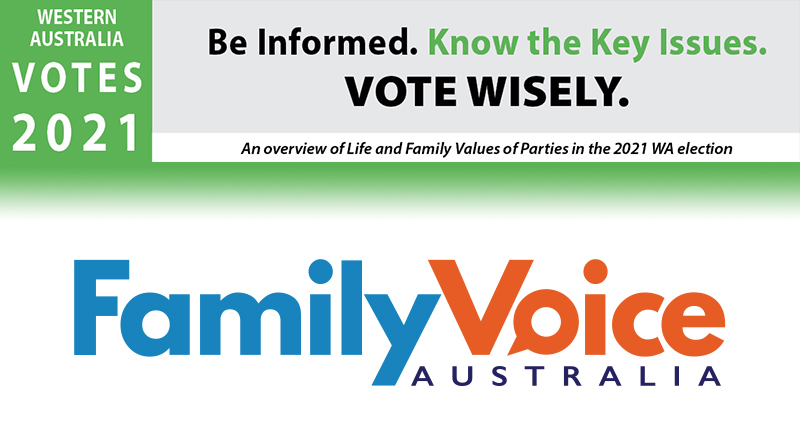 WA Election Vote Wisely website banner